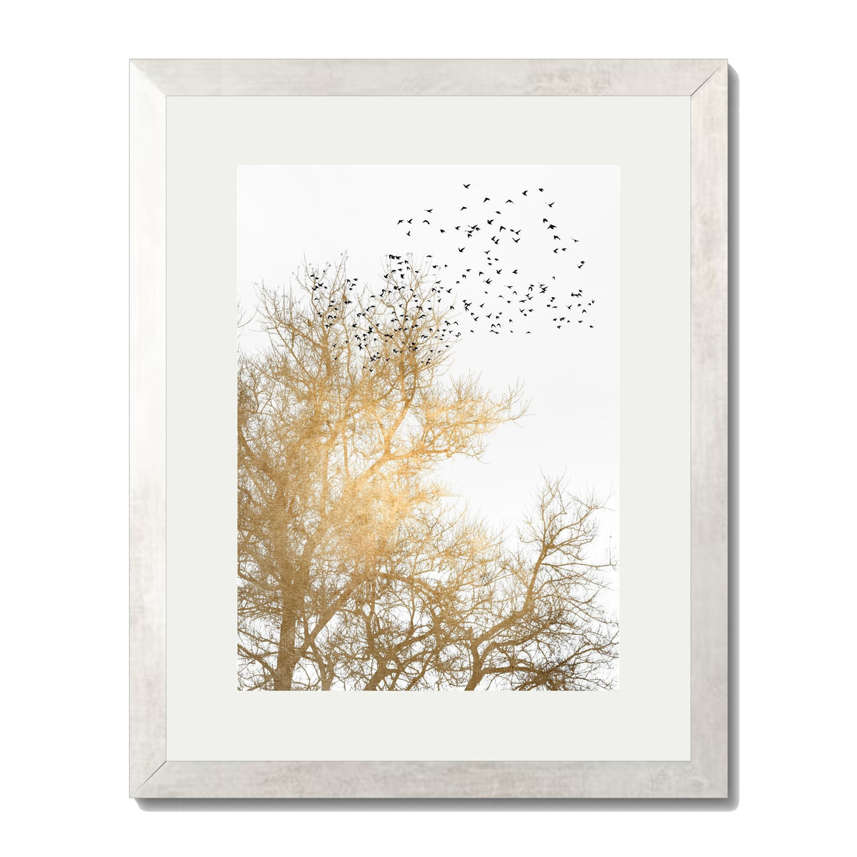 Cedar Axis Bird Wall Art Print — gallery image 53