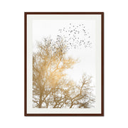 Cedar Axis Bird Wall Art Print — gallery image 40
