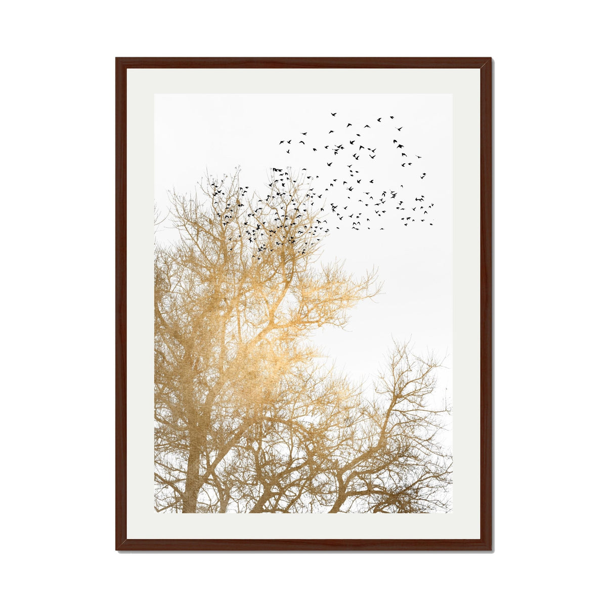 Cedar Axis Bird Wall Art Print — gallery image 40