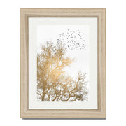 Cedar Axis Bird Wall Art Print — gallery image 49