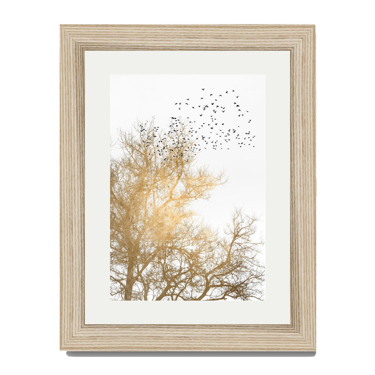 Cedar Axis Bird Wall Art Print — gallery image 49