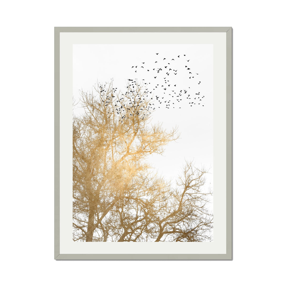 Cedar Axis Bird Wall Art Print — gallery image 66