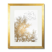 Cedar Axis Bird Wall Art Print — gallery image 64