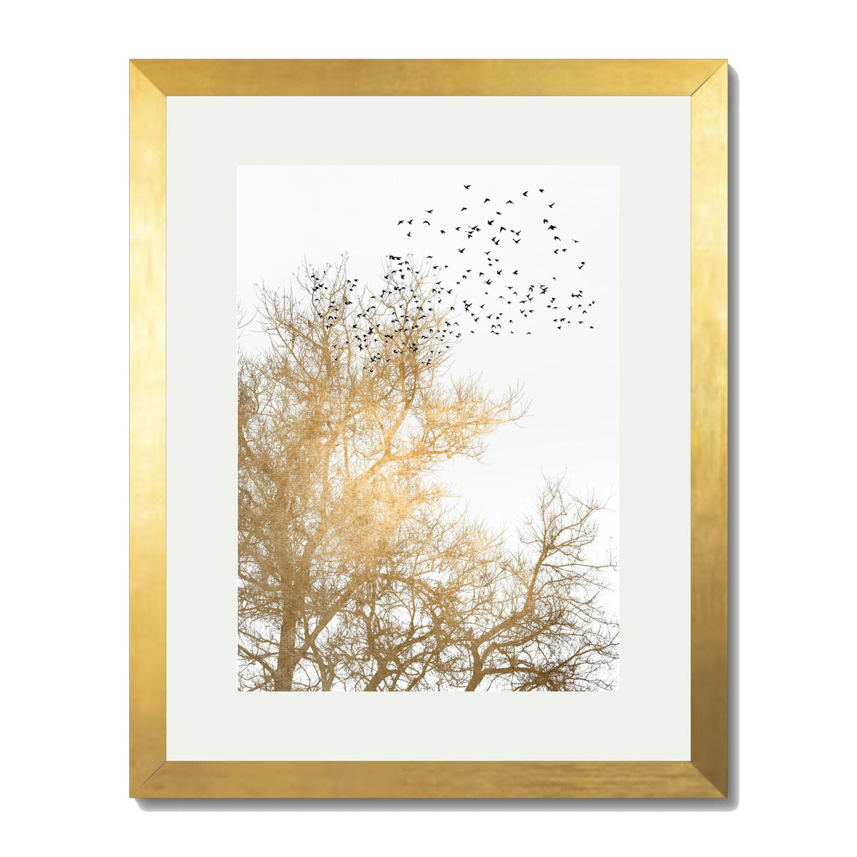 Cedar Axis Bird Wall Art Print — gallery image 64