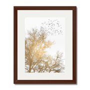 Cedar Axis Bird Wall Art Print — gallery image 61