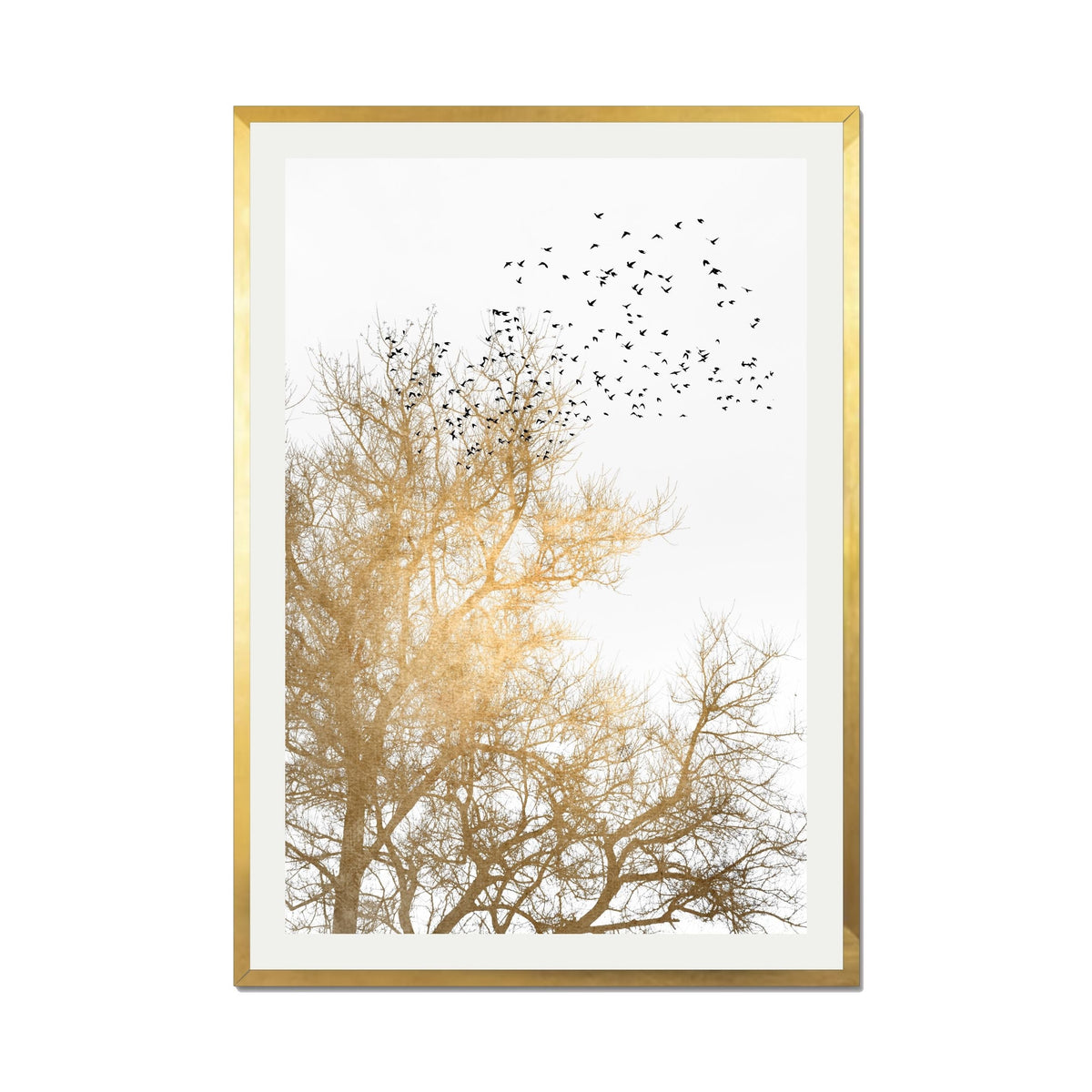 Cedar Axis Bird Wall Art Print — gallery image 65