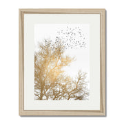 Cedar Axis Bird Wall Art Print — gallery image 67