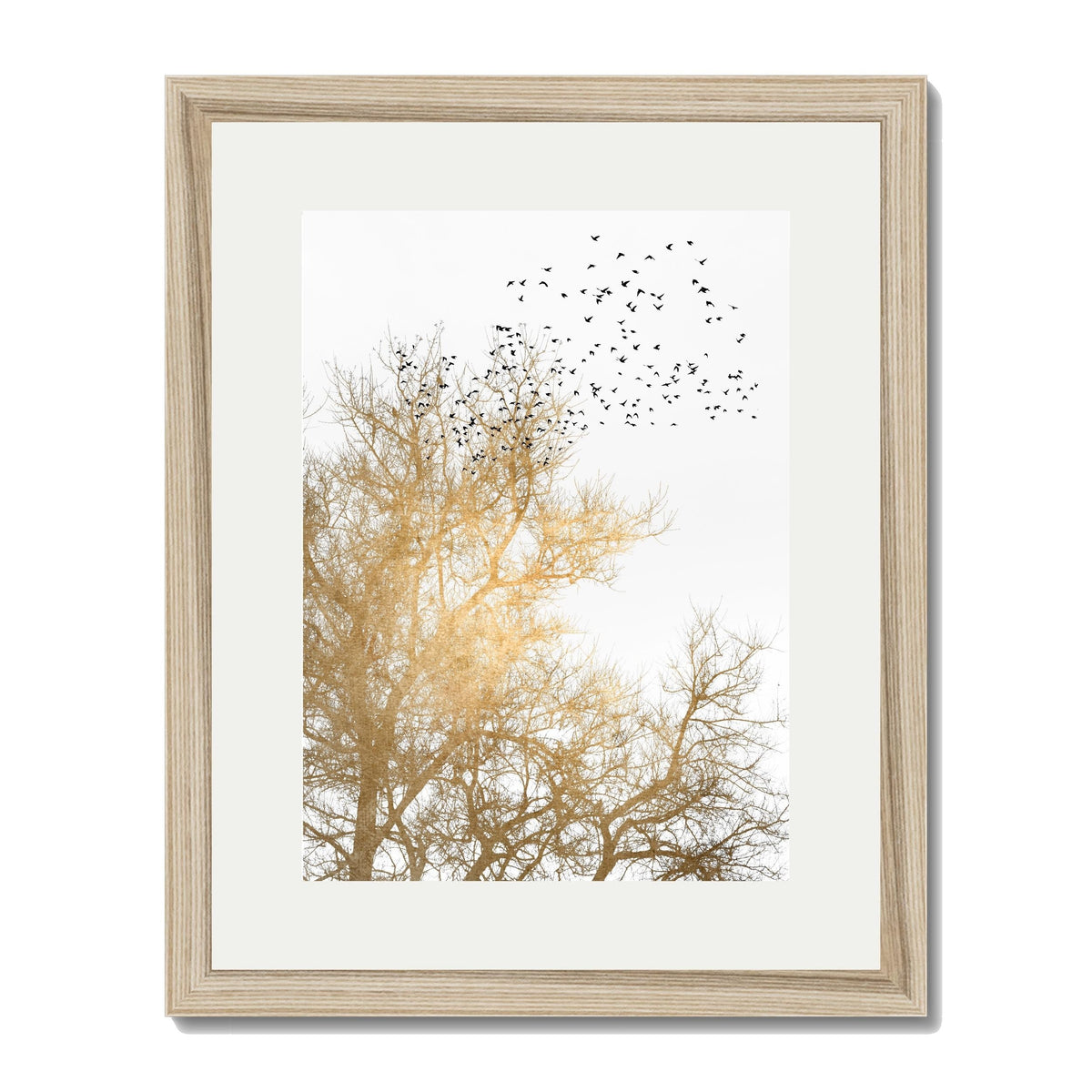 Cedar Axis Bird Wall Art Print — gallery image 67