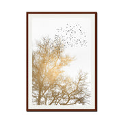 Cedar Axis Bird Wall Art Print — gallery image 62