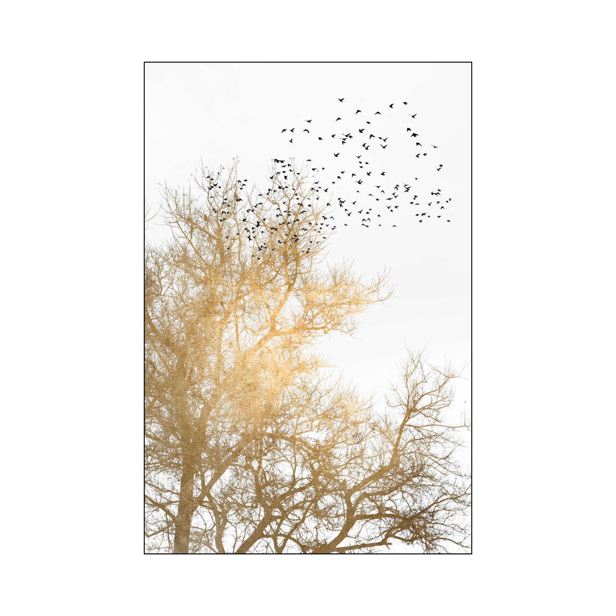 Cedar Axis Bird Wall Art Print — gallery image 68