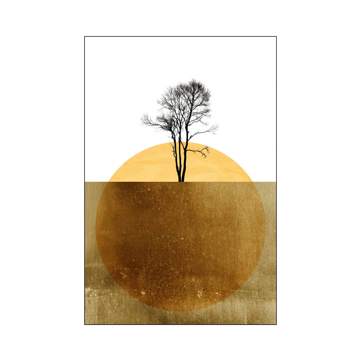 Kestrel Axis Coastal Wall Art Print — gallery image 68