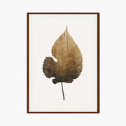 Hawthorn Axis Botanical Wall Art Print — gallery image 1