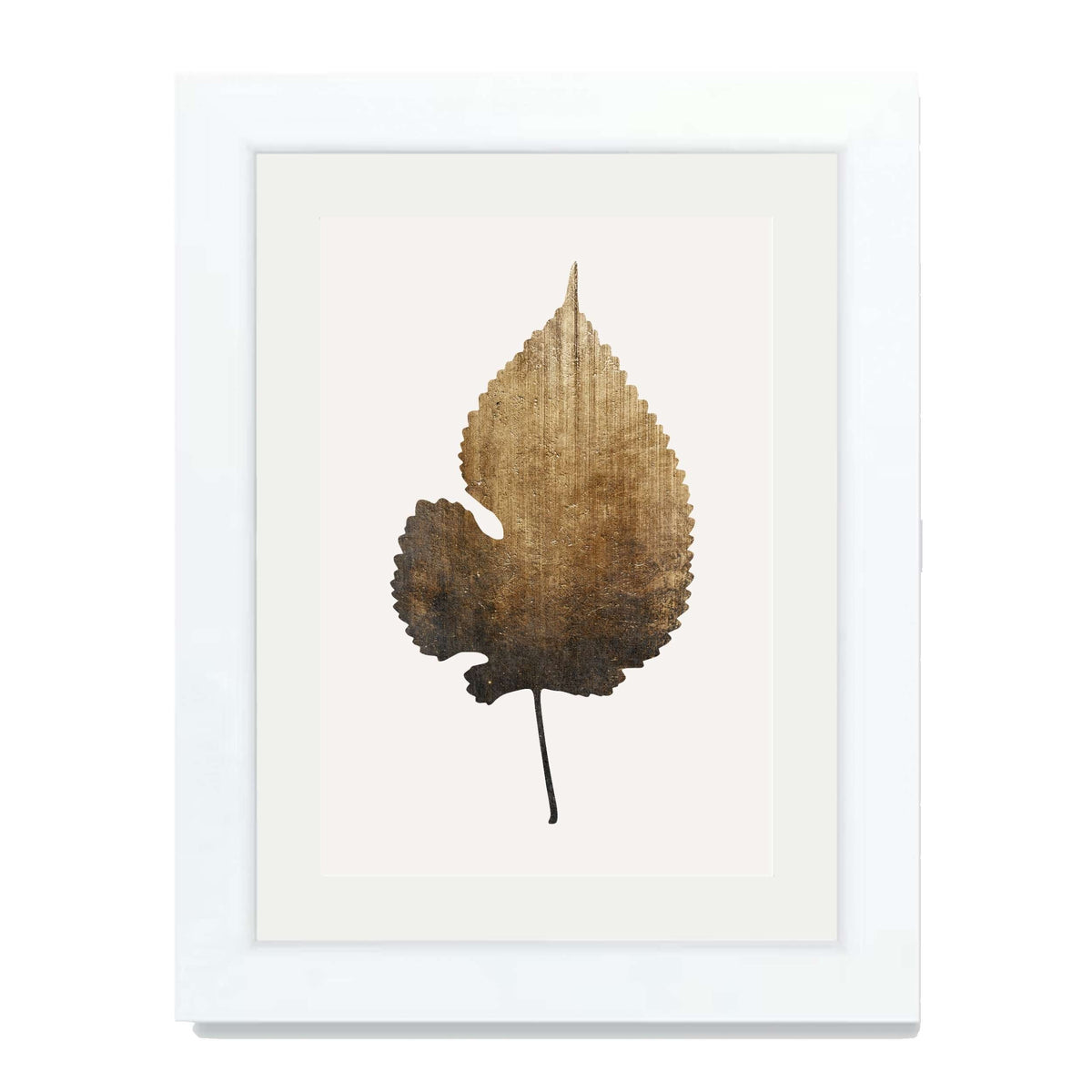 Hawthorn Axis Botanical Wall Art Print — gallery image 62