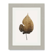 Hawthorn Axis Botanical Wall Art Print — gallery image 44