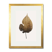 Hawthorn Axis Botanical Wall Art Print — gallery image 40