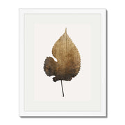 Hawthorn Axis Botanical Wall Art Print — gallery image 63