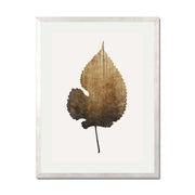 Hawthorn Axis Botanical Wall Art Print — gallery image 59