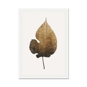 Hawthorn Axis Botanical Wall Art Print — gallery image 67