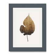 Hawthorn Axis Botanical Wall Art Print — gallery image 32