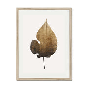 Hawthorn Axis Botanical Wall Art Print — gallery image 53