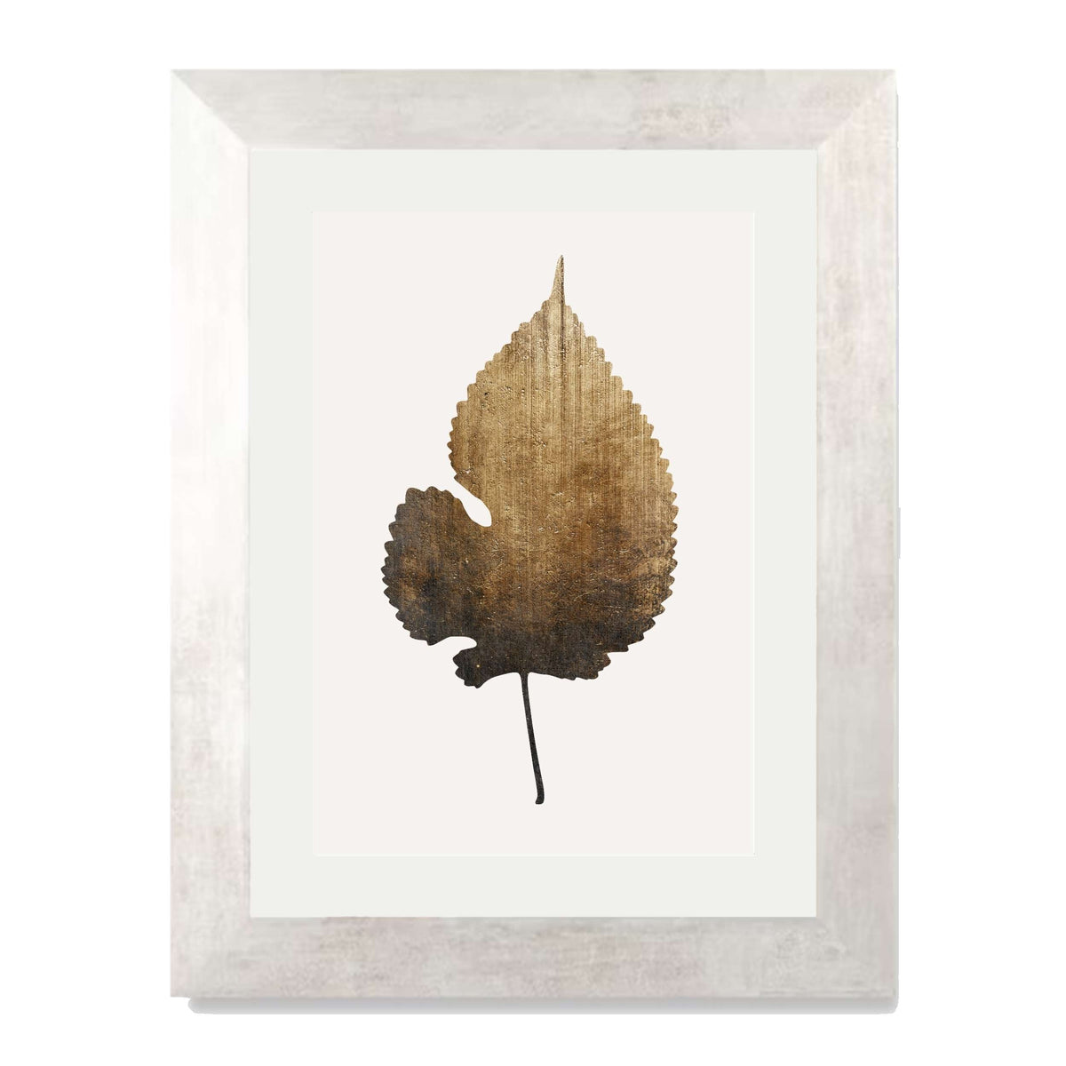Hawthorn Axis Botanical Wall Art Print — gallery image 56