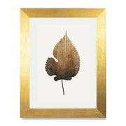 Hawthorn Axis Botanical Wall Art Print — gallery image 38