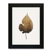 Hawthorn Axis Botanical Wall Art Print — gallery image 20