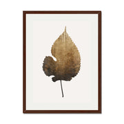 Hawthorn Axis Botanical Wall Art Print — gallery image 29