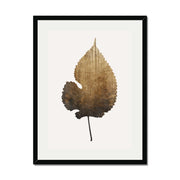 Hawthorn Axis Botanical Wall Art Print — gallery image 23