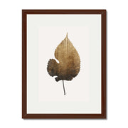 Hawthorn Axis Botanical Wall Art Print — gallery image 28