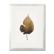 Hawthorn Axis Botanical Wall Art Print — gallery image 58