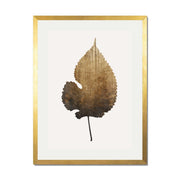 Hawthorn Axis Botanical Wall Art Print — gallery image 41