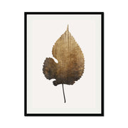 Hawthorn Axis Botanical Wall Art Print — gallery image 24