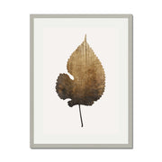Hawthorn Axis Botanical Wall Art Print — gallery image 47