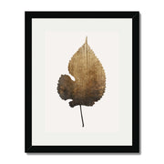 Hawthorn Axis Botanical Wall Art Print — gallery image 21