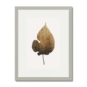 Hawthorn Axis Botanical Wall Art Print — gallery image 46