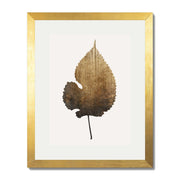 Hawthorn Axis Botanical Wall Art Print — gallery image 39