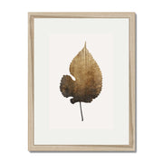 Hawthorn Axis Botanical Wall Art Print — gallery image 52