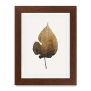 Hawthorn Axis Botanical Wall Art Print — gallery image 26