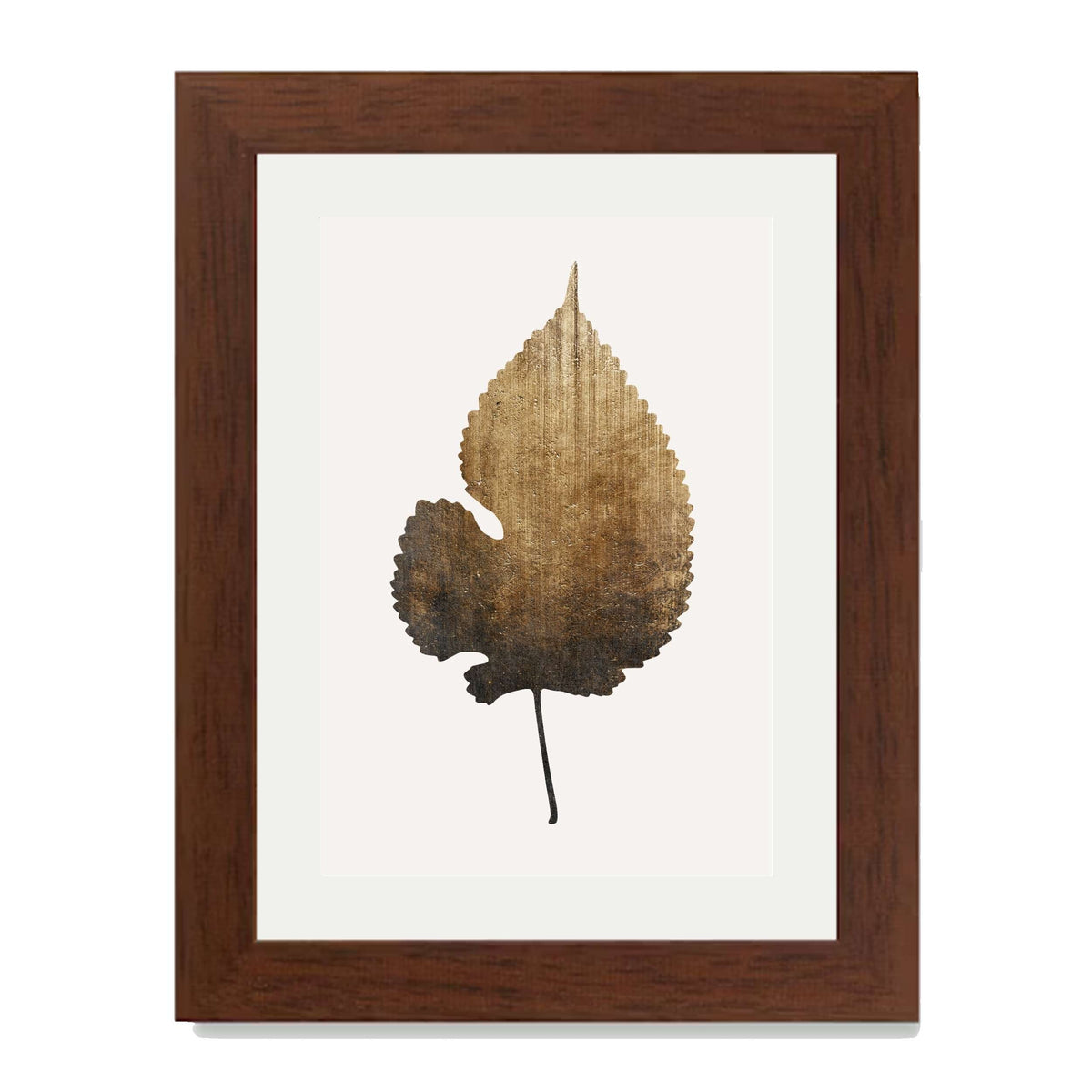 Hawthorn Axis Botanical Wall Art Print — gallery image 26