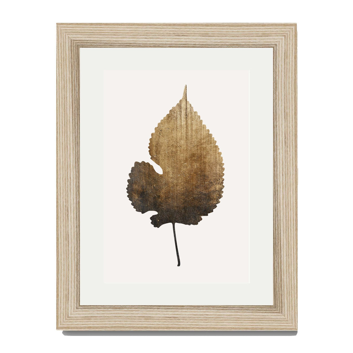 Hawthorn Axis Botanical Wall Art Print — gallery image 50