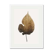 Hawthorn Axis Botanical Wall Art Print — gallery image 65