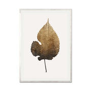 Hawthorn Axis Botanical Wall Art Print — gallery image 61