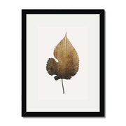 Hawthorn Axis Botanical Wall Art Print — gallery image 22
