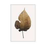 Hawthorn Axis Botanical Wall Art Print — gallery image 68