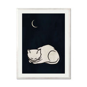 Chestnut Axis Cat Wall Art Print — gallery image 63