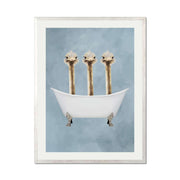 Briarley Axis Ostrich Wall Art Print — gallery image 61