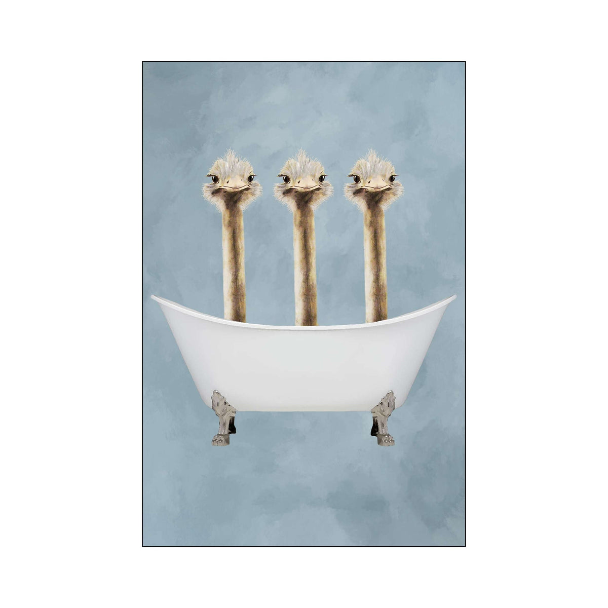 Briarley Axis Ostrich Wall Art Print — gallery image 68