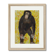 Cranford Axis Monkey Wall Art Print — gallery image 49