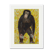 Cranford Axis Monkey Wall Art Print — gallery image 63
